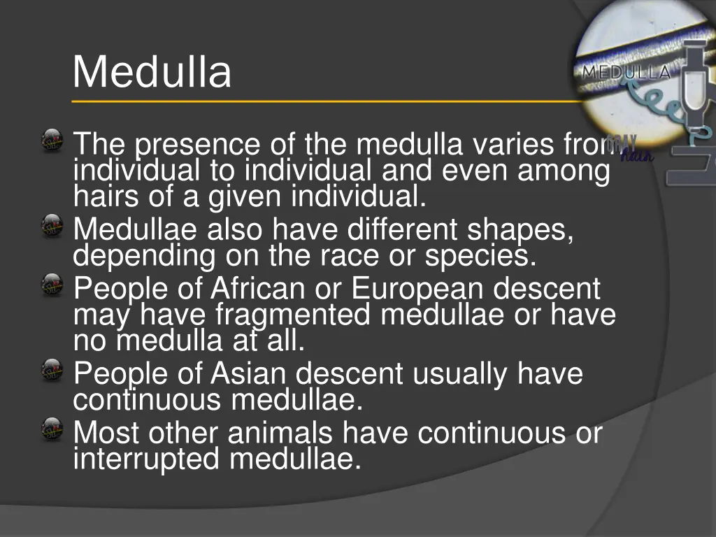 medulla 2