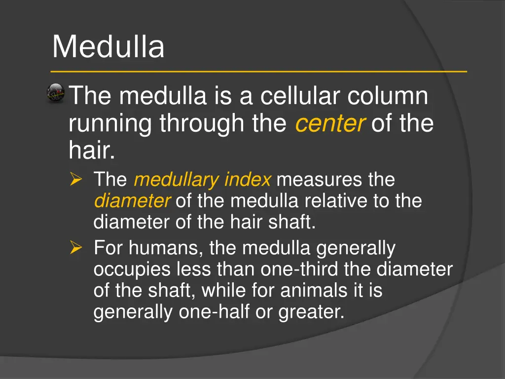 medulla