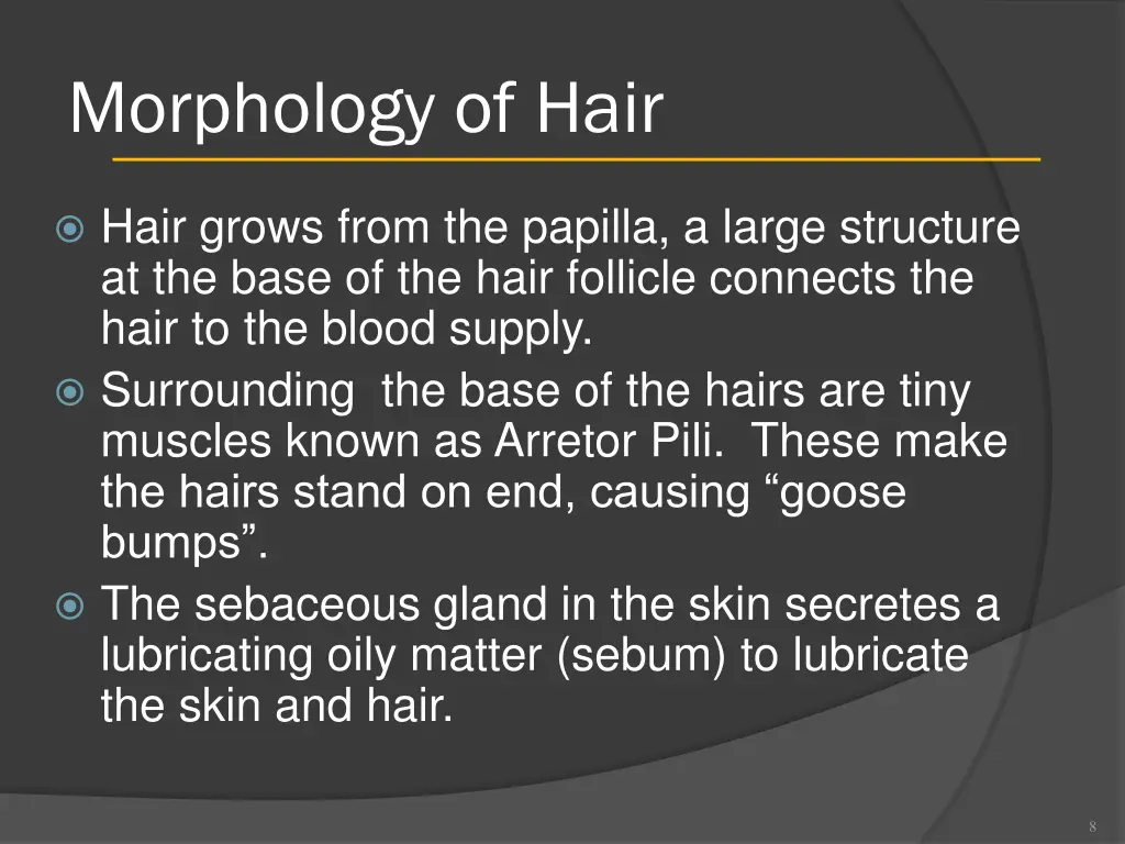 morphology of hair 1