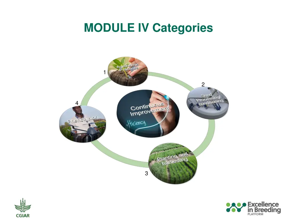 module iv categories 1