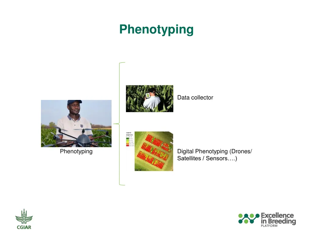 phenotyping