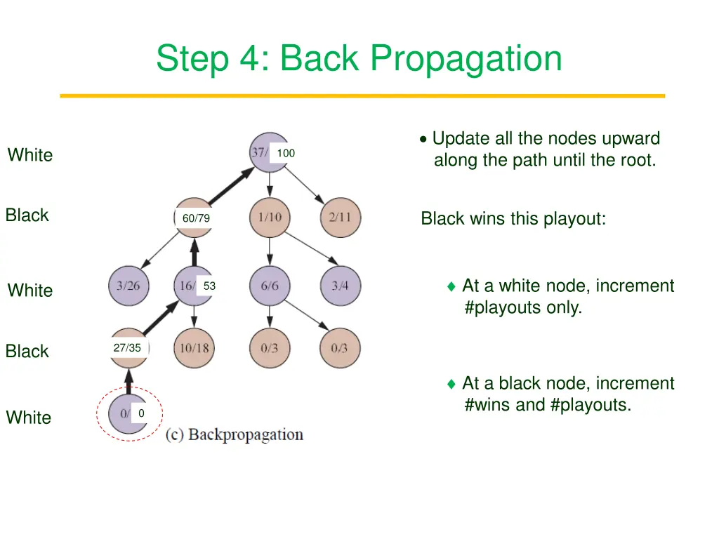 step 4 back propagation