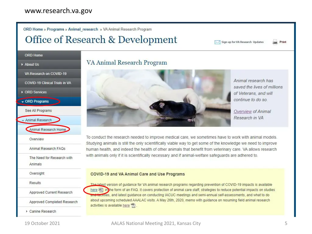 www research va gov