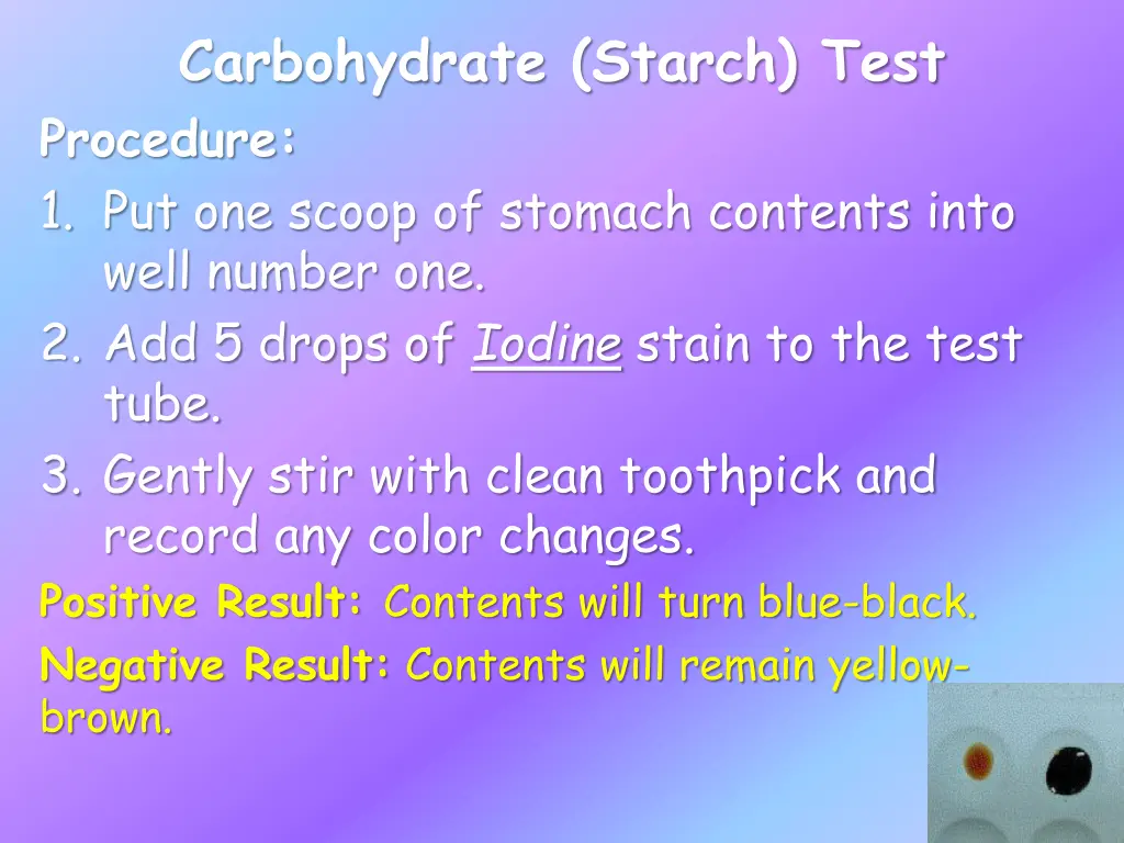 carbohydrate starch test procedure