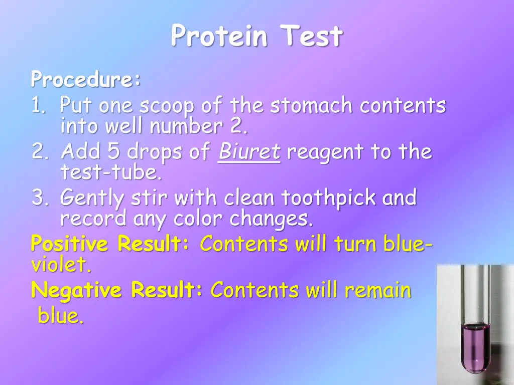 protein test