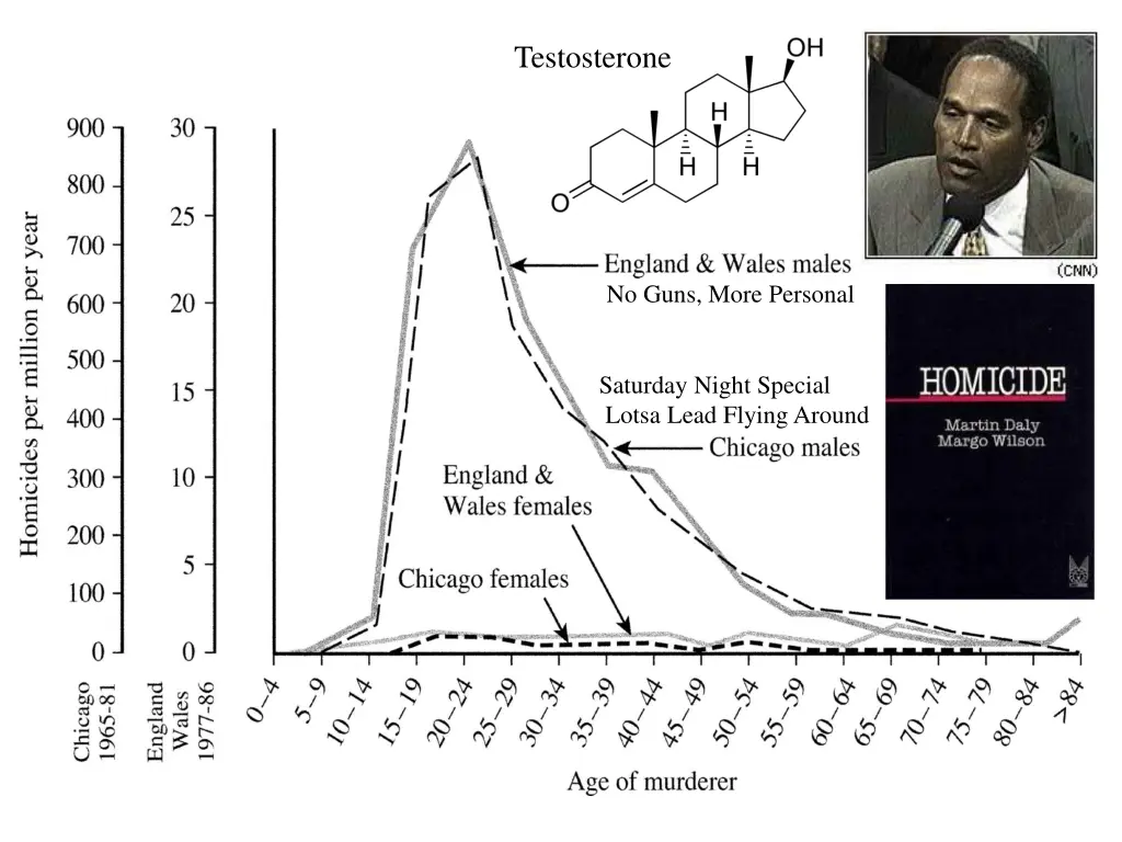 testosterone 1