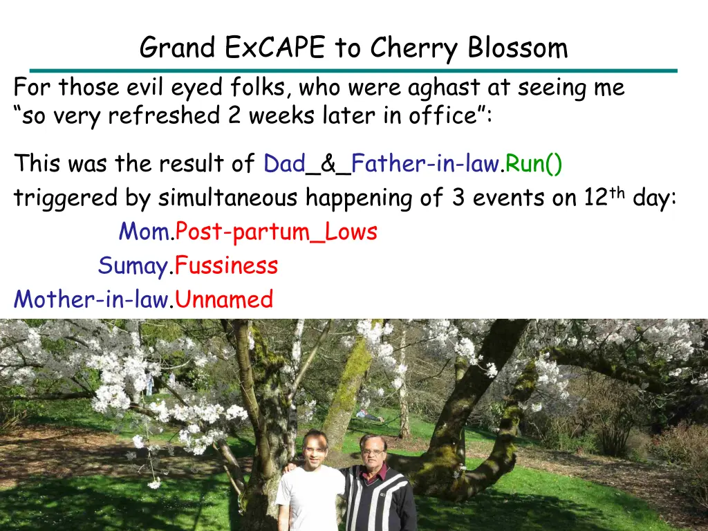 grand excape to cherry blossom