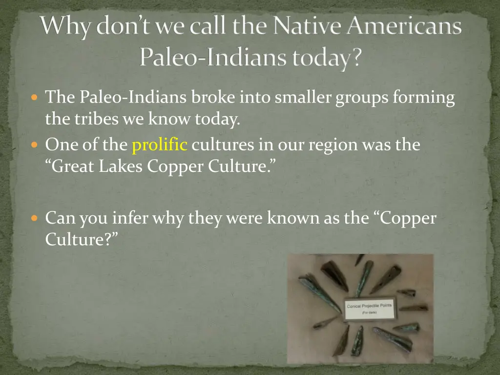 why don t we call the native americans paleo