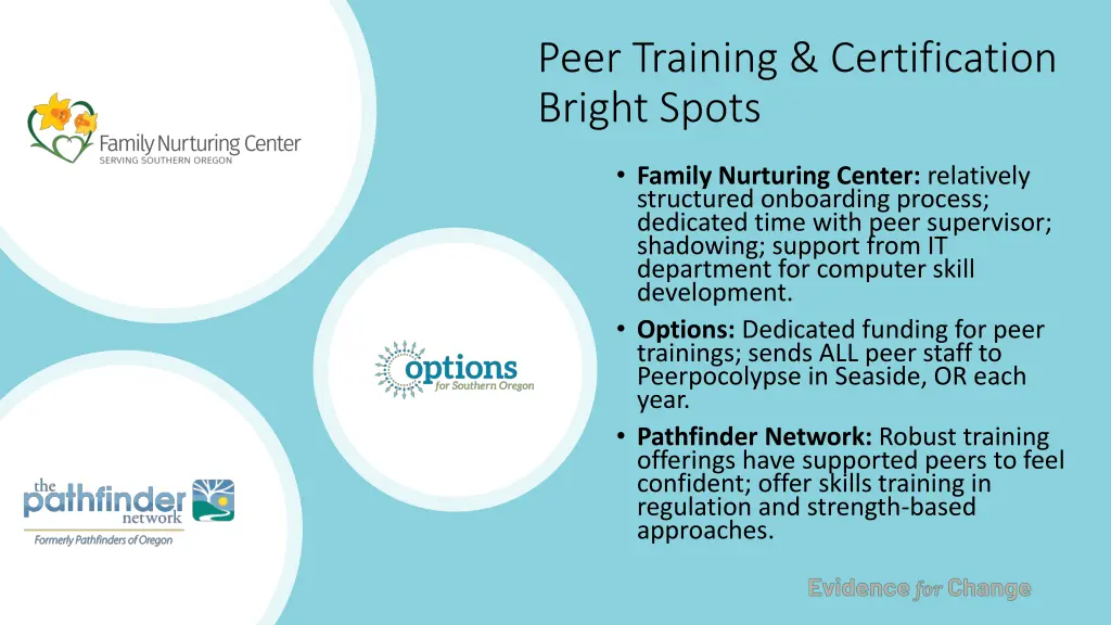 peer training certification bright spots