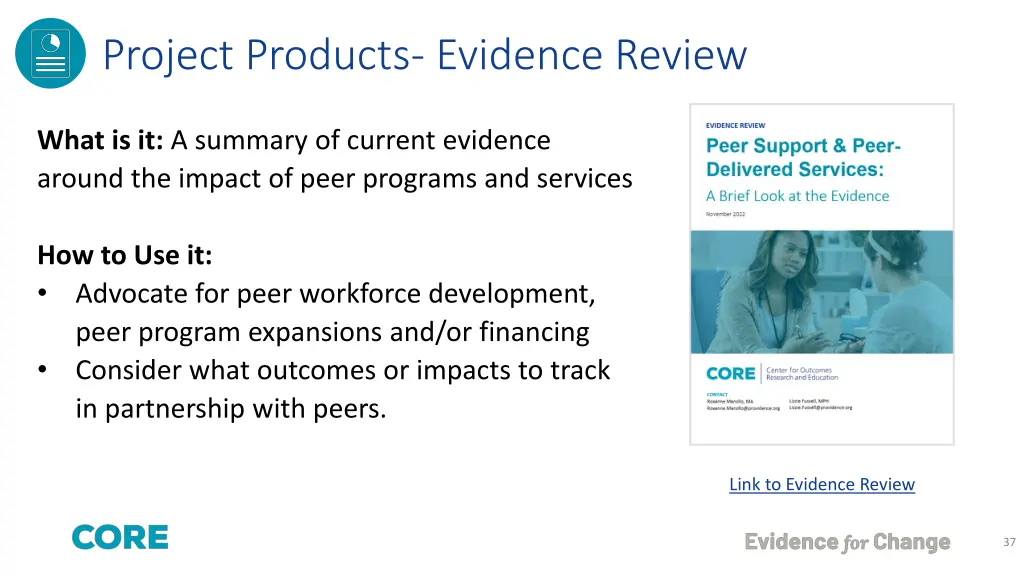 project products evidence review