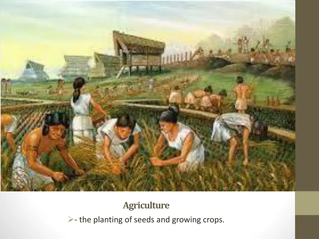 agriculture