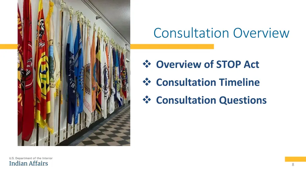 consultation overview