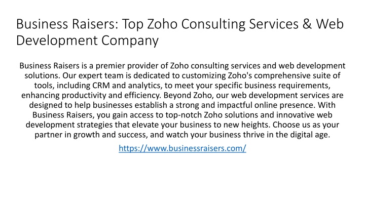 business raisers top zoho consulting services