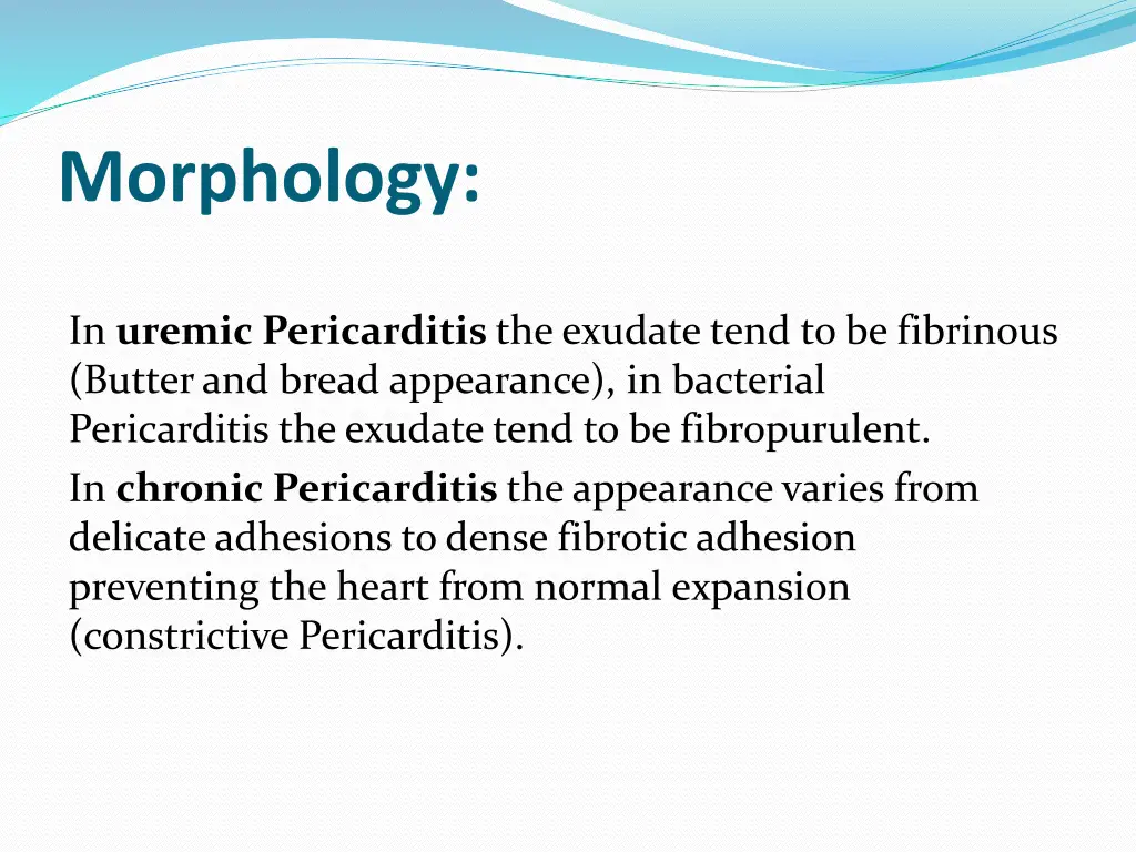 morphology