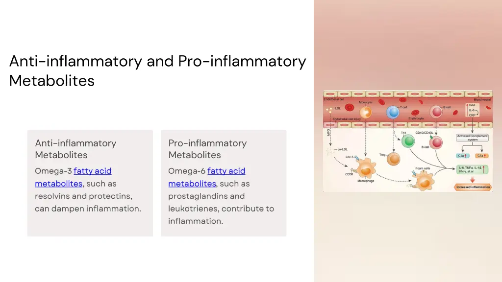 anti inflammatory and pro inflammatory metabolites