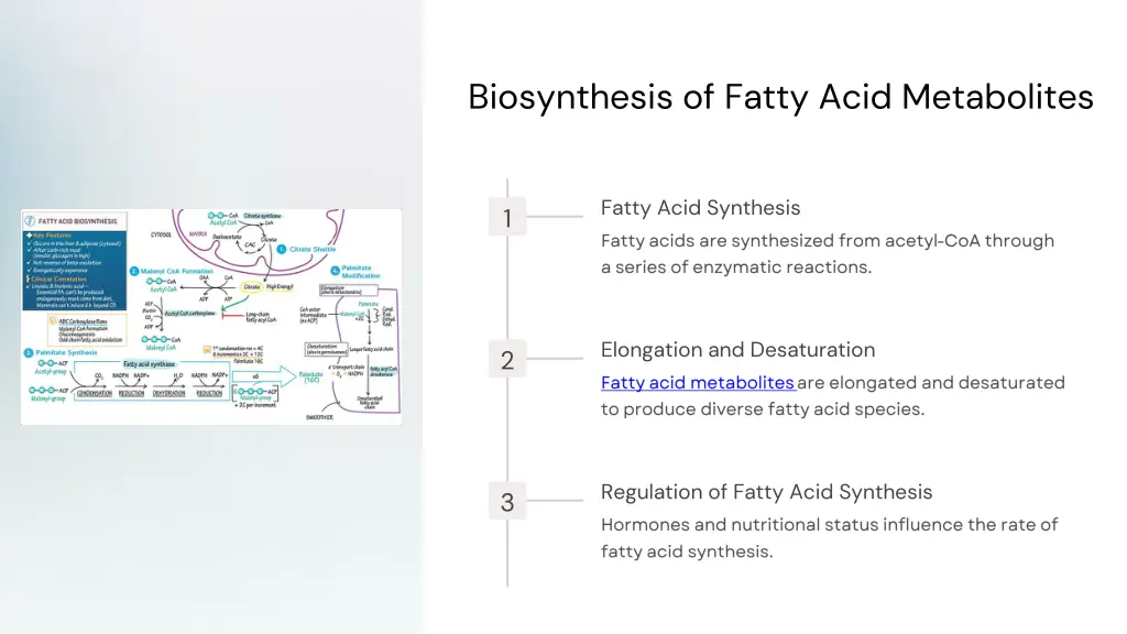 biosynthesis of fatty acid metabolites