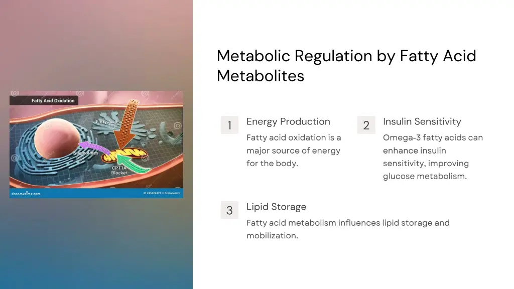 metabolic regulation by fatty acid metabolites