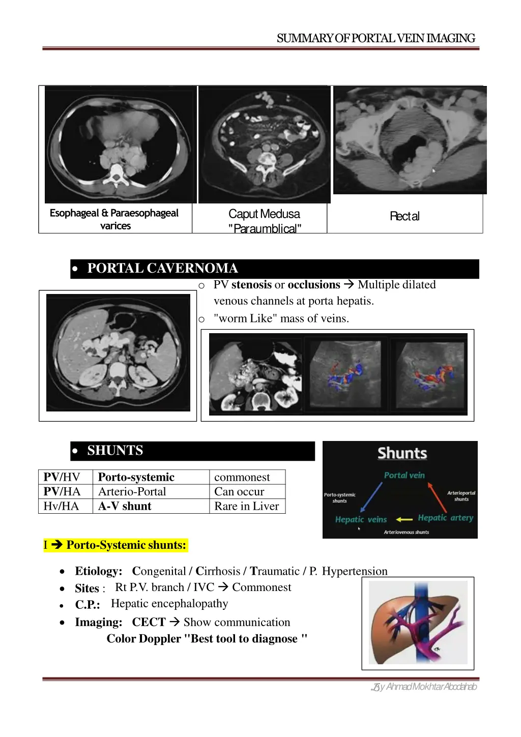 summary of portal veinimaging 1