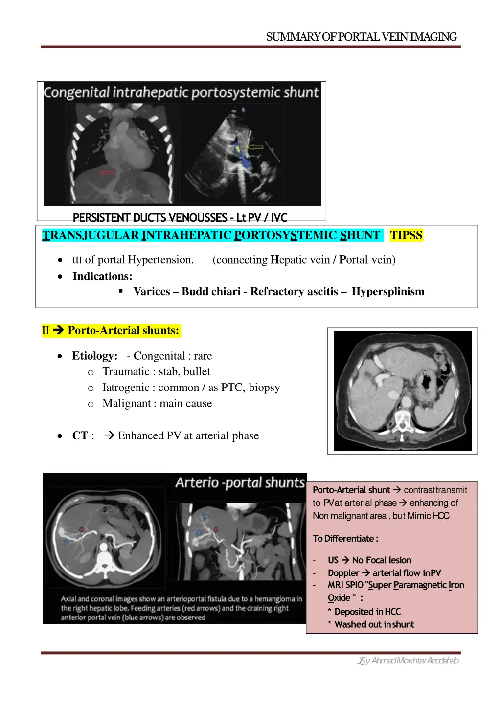 summary of portal veinimaging 2