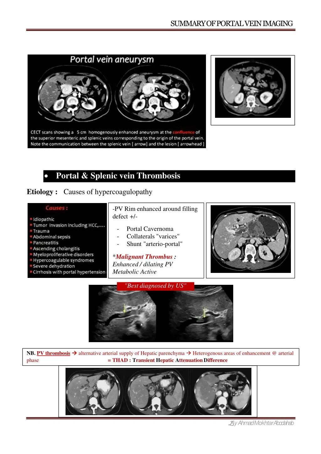 summary of portal veinimaging 4