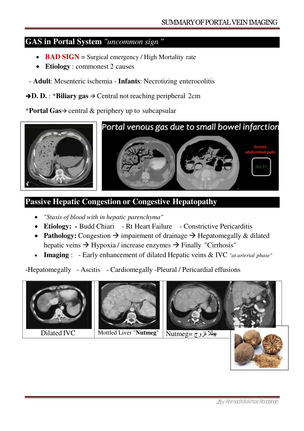 summary of portal veinimaging 5