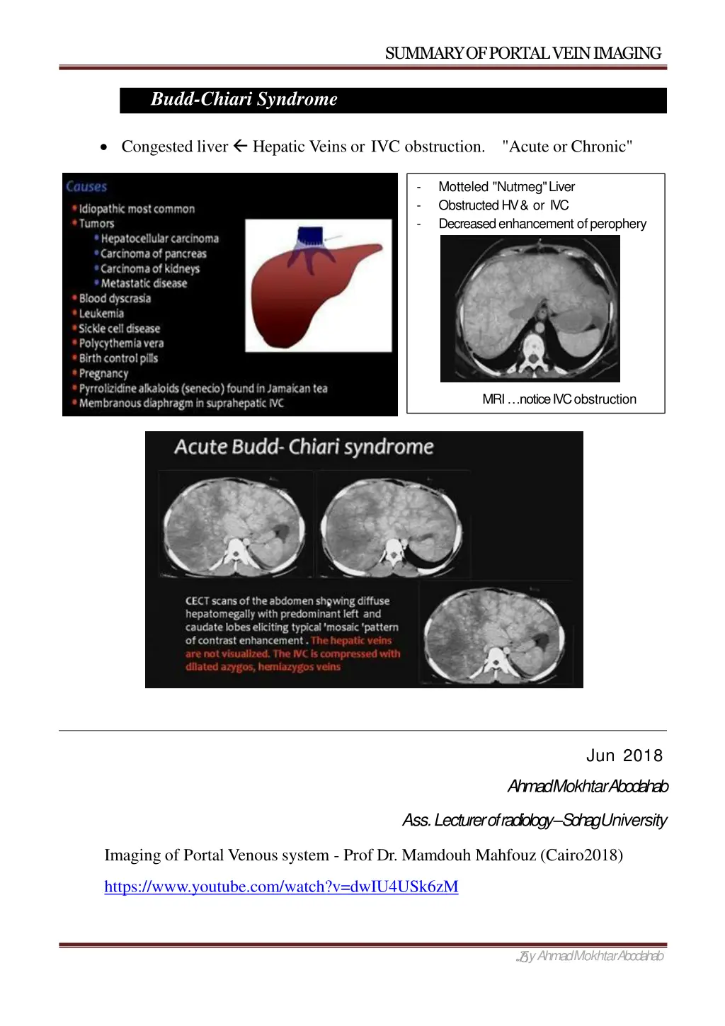 summary of portal veinimaging 6