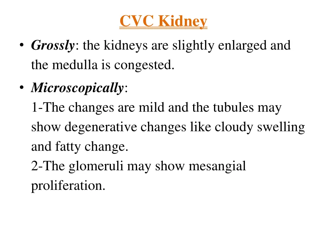 cvc kidney