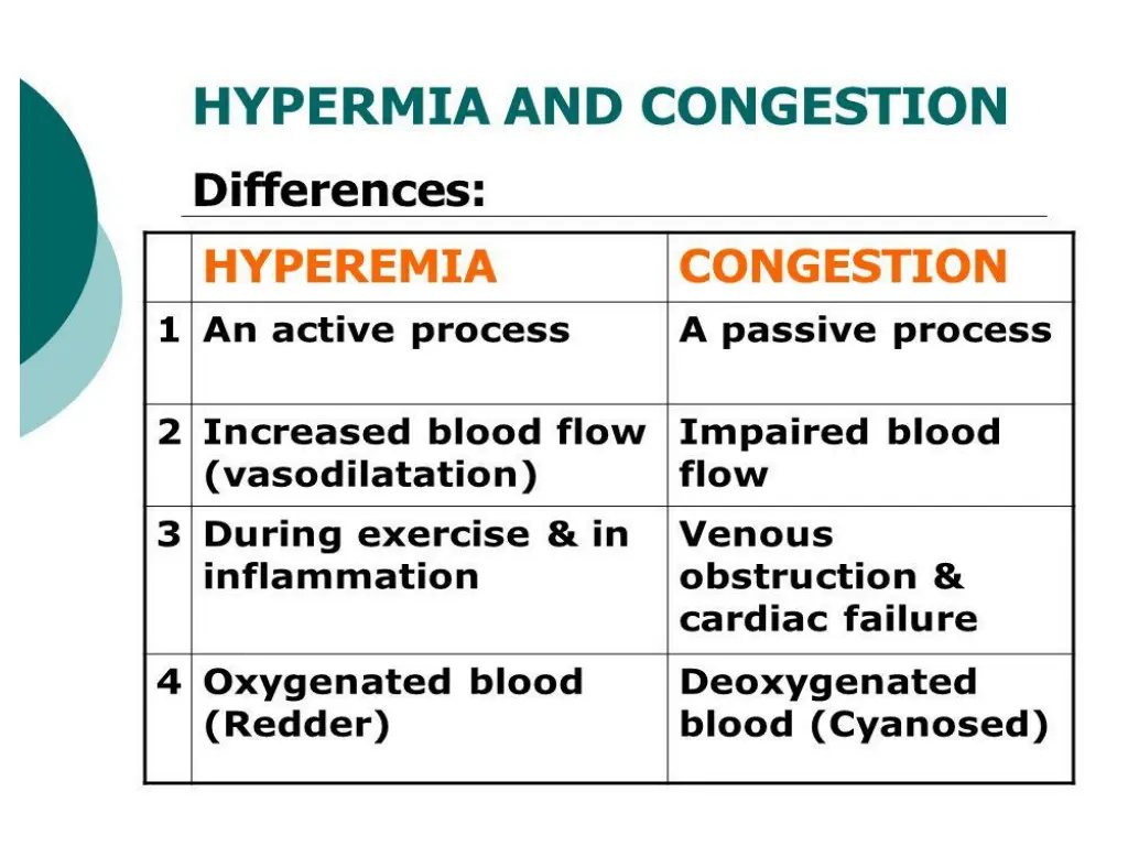 slide19