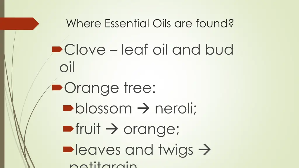 where essential oils are found 3