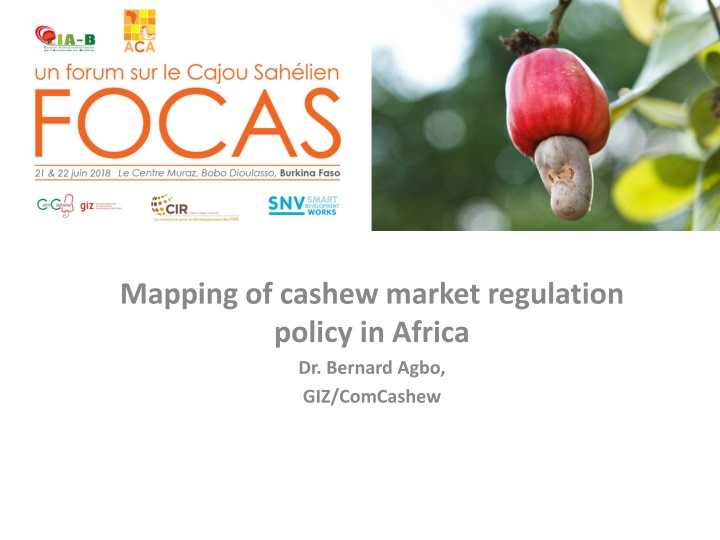 mapping of cashew market regulation policy