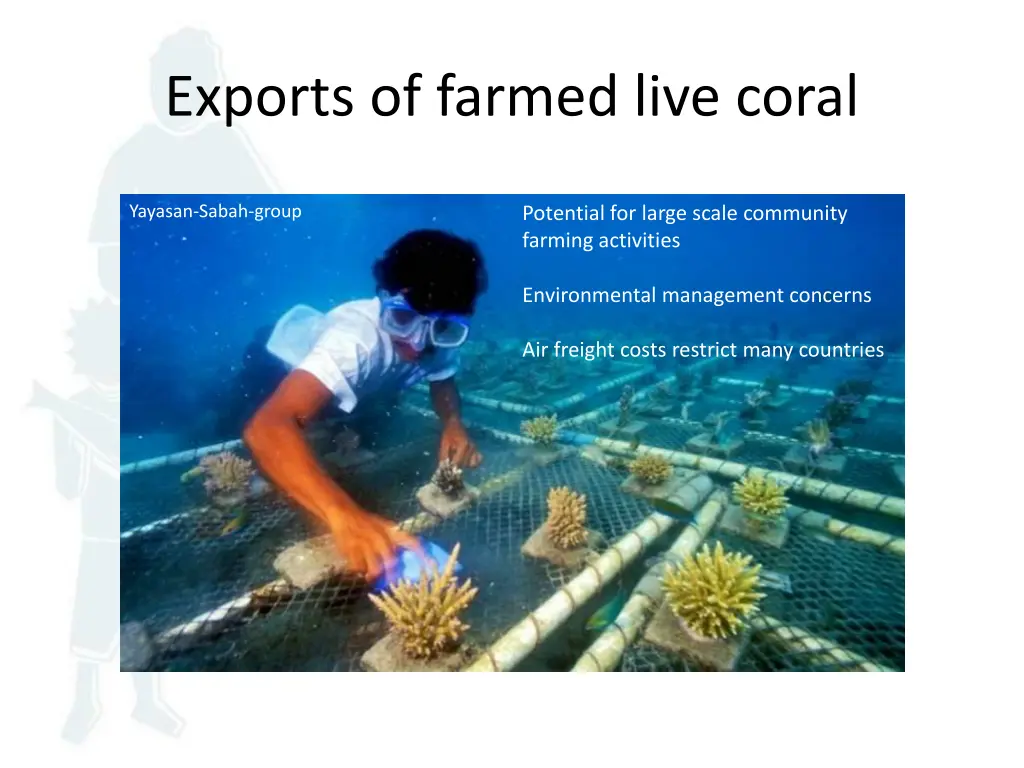 exports of farmed live coral