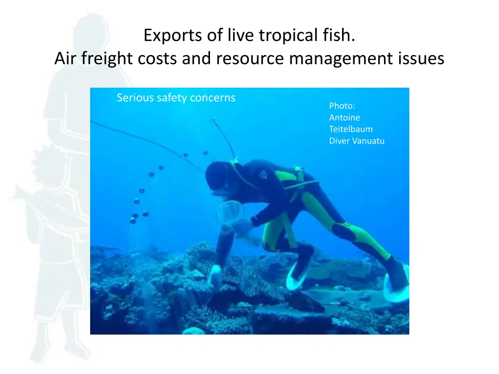 exports of live tropical fish air freight costs