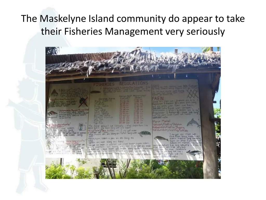 the maskelyne island community do appear to take