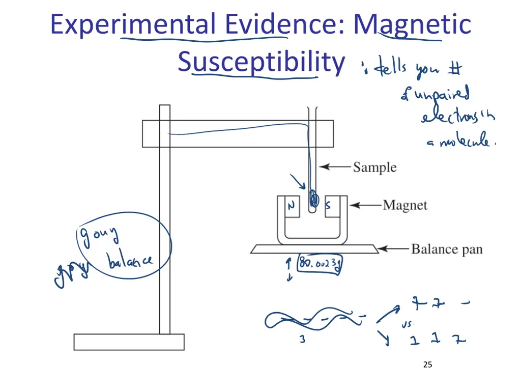 experimental evidence magnetic susceptibility