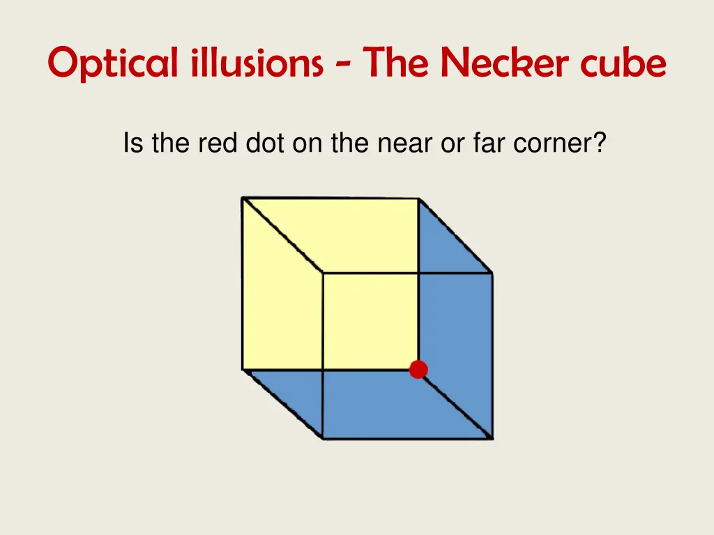 optical illusions the necker cube