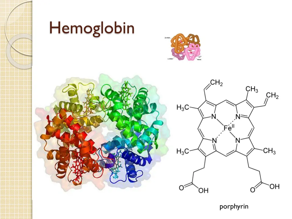 hemoglobin