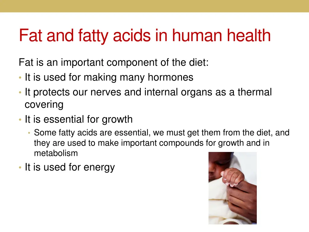 fat and fatty acids in human health