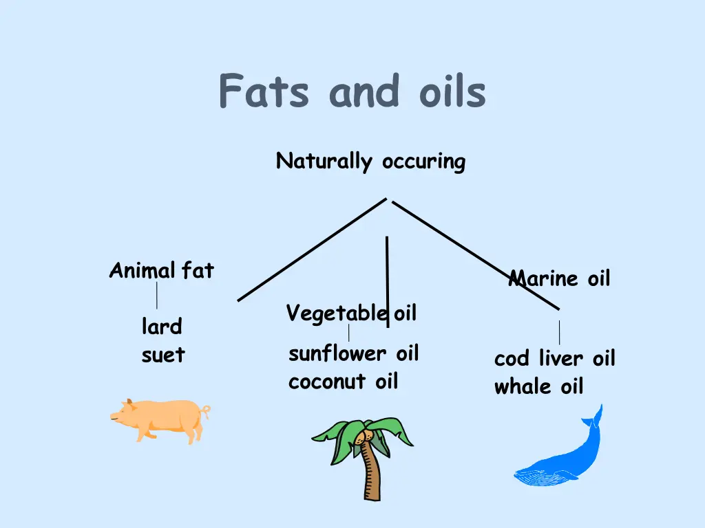 fats and oils