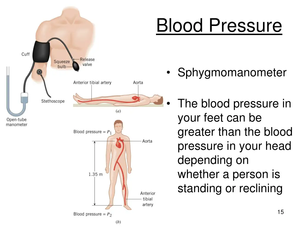 blood pressure