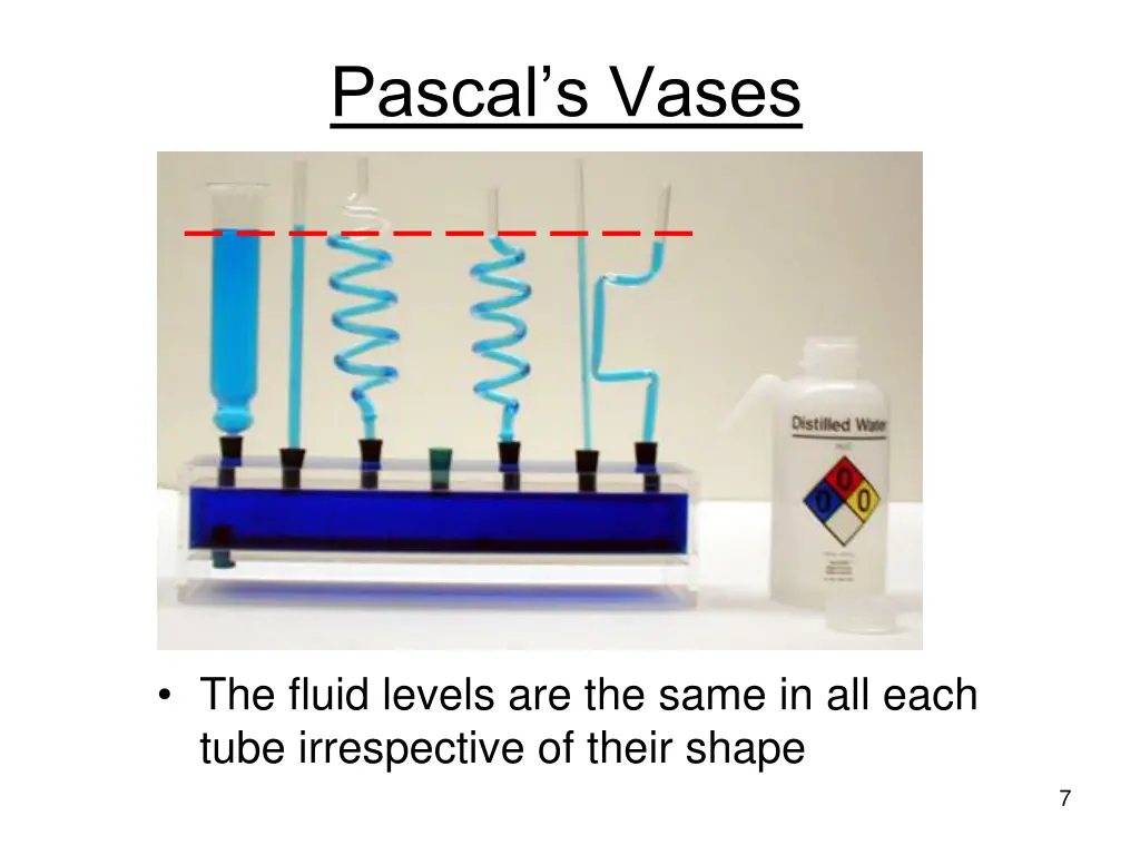 pascal s vases