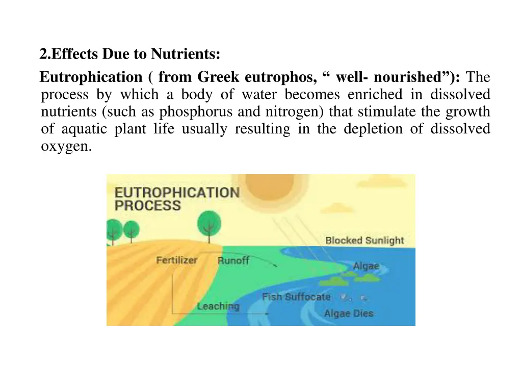 2 effects due to nutrients eutrophication from