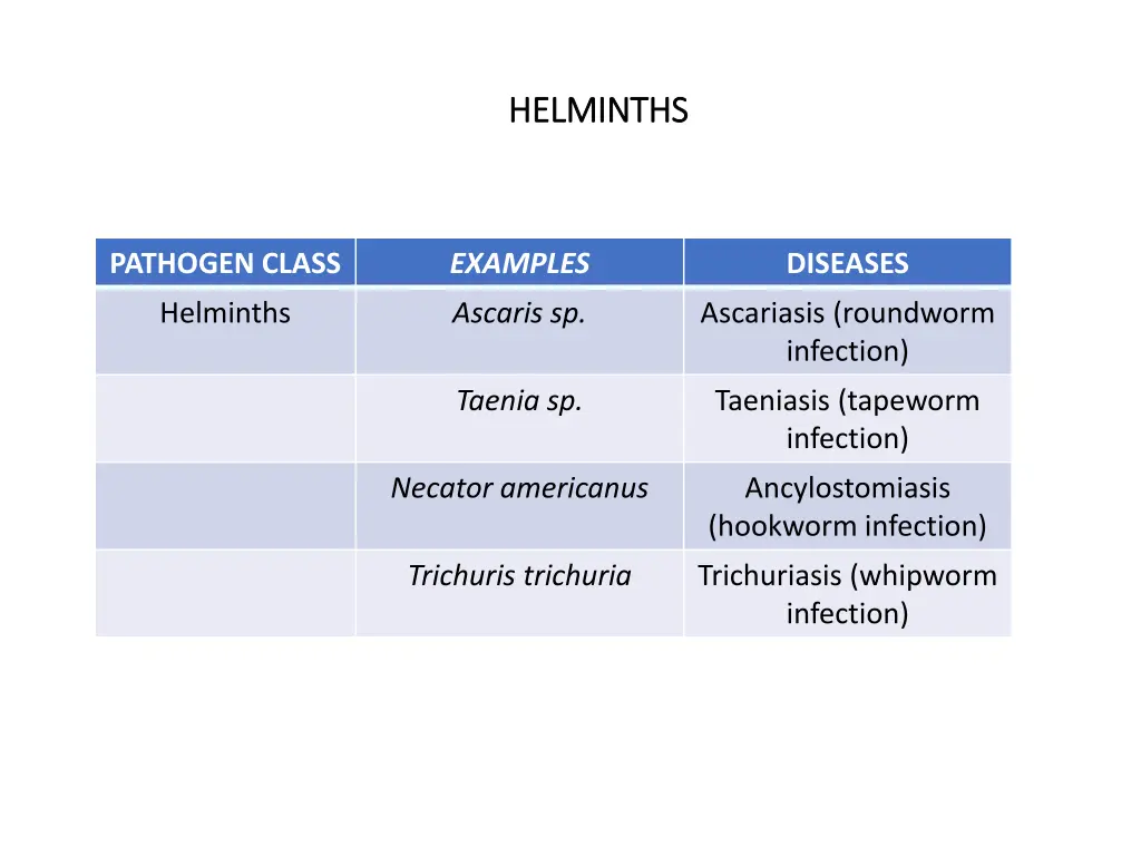 helminths helminths