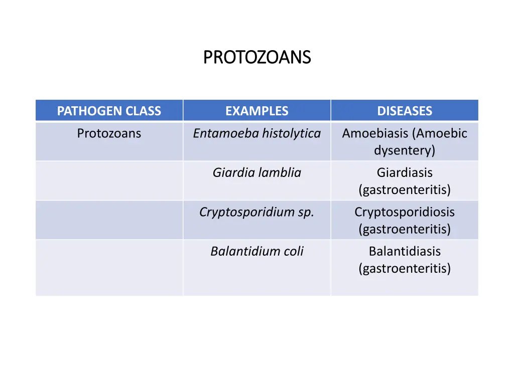 protozoans protozoans