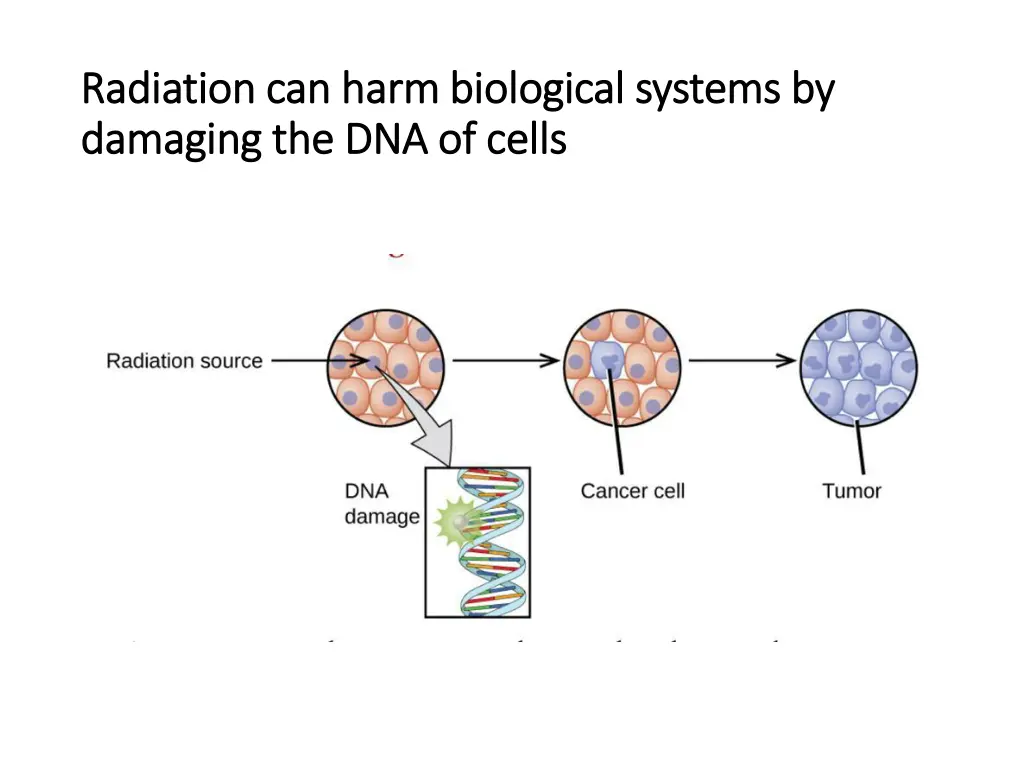 radiation can harm biological systems