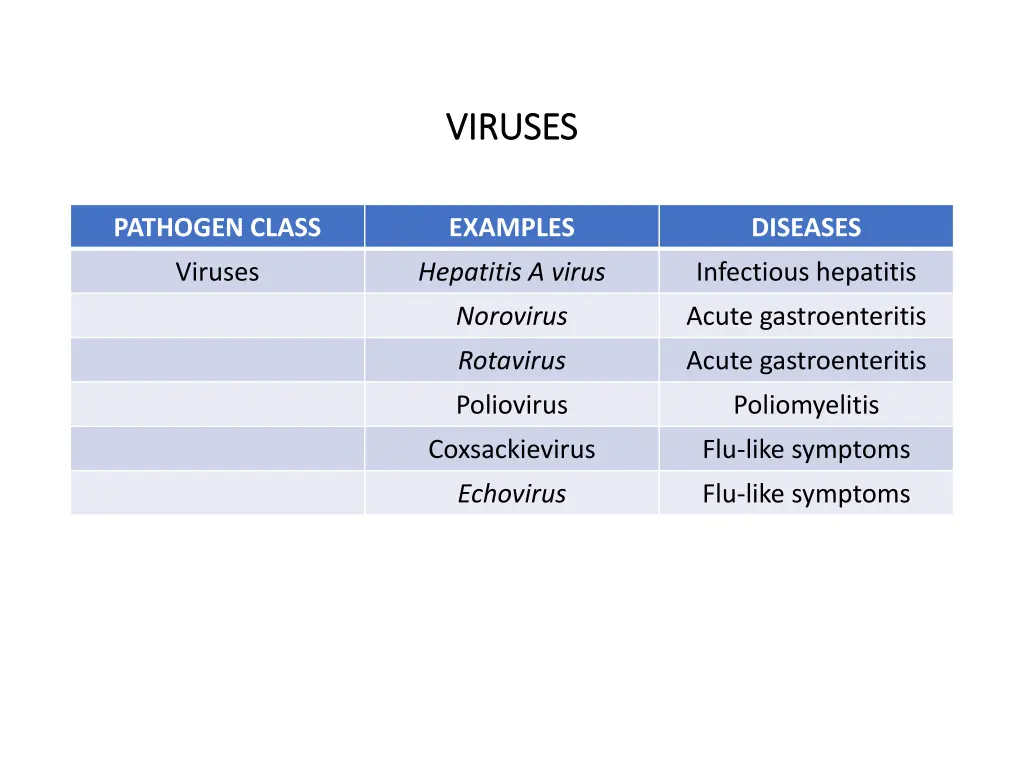 viruses viruses