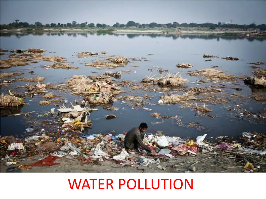 water pollution