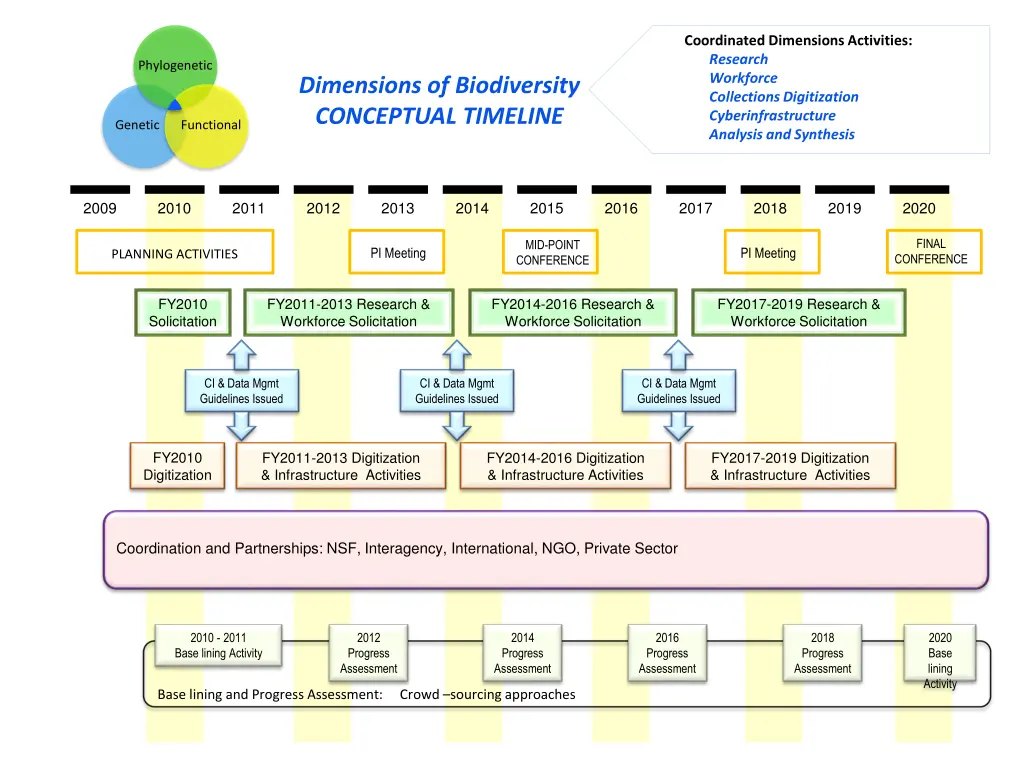 coordinated dimensions activities research