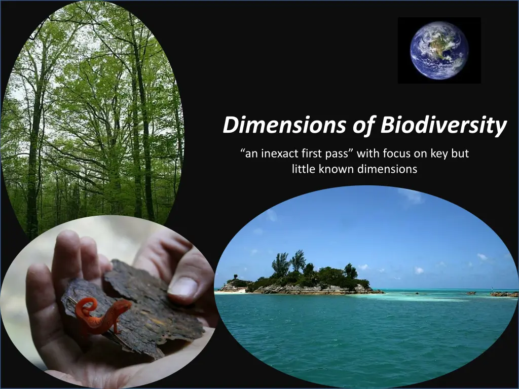 dimensions of biodiversity 4