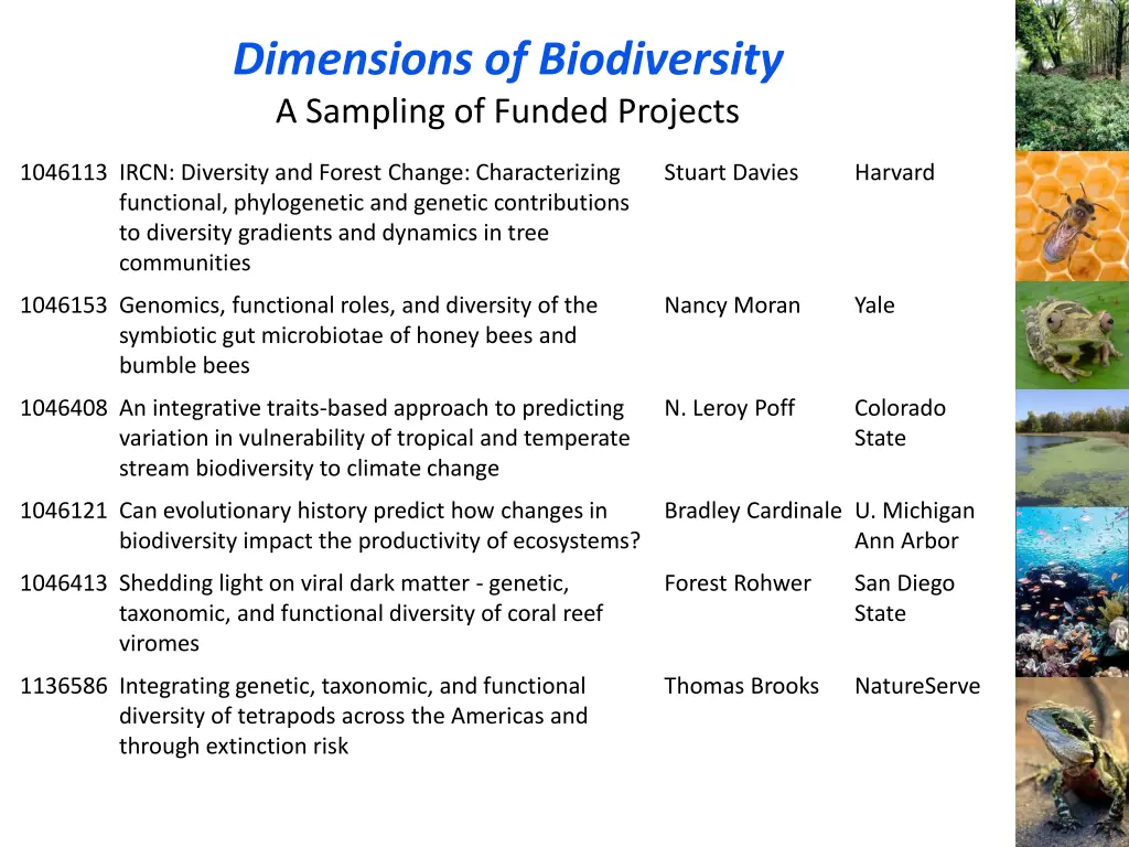 dimensions of biodiversity a sampling of funded