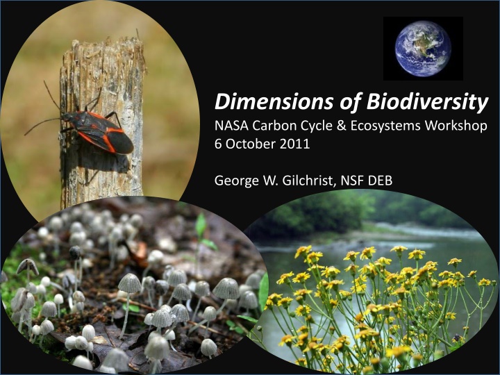 dimensions of biodiversity nasa carbon cycle